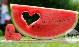 免费吃瓜 最新,揭秘网络热点的幕后故事