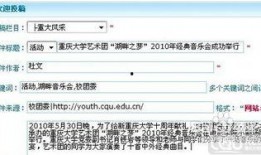河北新闻爆料投稿流程,轻松参与，共建和谐媒体