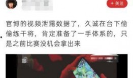 久诚爆料教练视频在线观看,实战技巧与训练心得