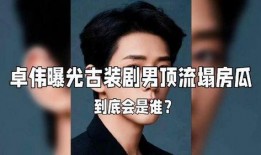 爆料娱乐圈大瓜是谁,揭秘神秘爆料者身份，真相令人震惊！