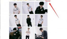 小说圈内人爆料是真的吗,真相还是炒作？