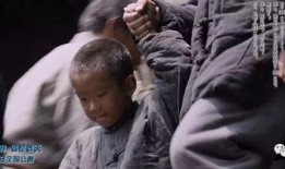 电影大寒在线观看,寒风凛冽，情感升温的感人之旅