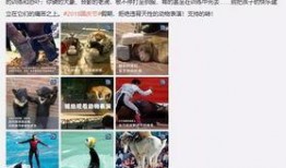 盈江新闻爆料事件视频完整版,视频完整版揭露惊人真相