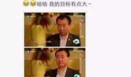 小宝茶完整爆料视频,揭秘神秘茶饮背后的真相
