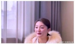 陈亚楠爆料捐款事件视频,揭秘幕后真相与公益力量