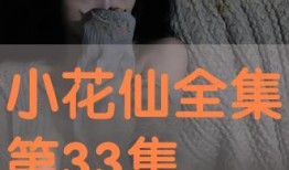 在线观看33,揭秘数字背后的故事