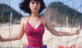 海清爆料宋佳视频大全,真相与争议全解析