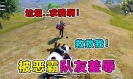 特种战集合最新爆料,揭秘最新战力曝光，神秘装备亮相引关注