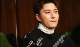 嘎子爆料贾乃亮视频大全,视频大全揭秘明星幕后故事