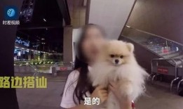 外国渣男爆料视频大全最新