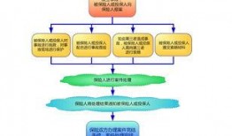 保险理赔爆料流程视频讲解,视频详解与实操指南