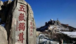 泰安景区爆料事件真相最新