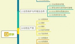 肥猪爆料虎子视频大全集,揭秘视频大全集背后的精彩故事